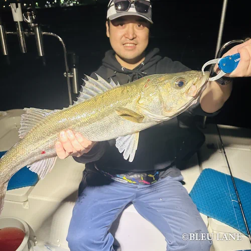 ボートシーバス　神奈川8