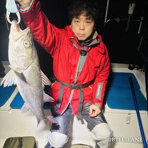 ボートシーバス　神奈川