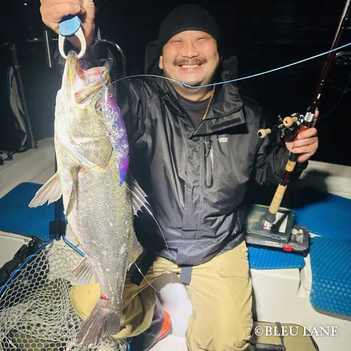 ボートシーバス　神奈川5
