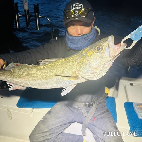 横浜　釣り船15