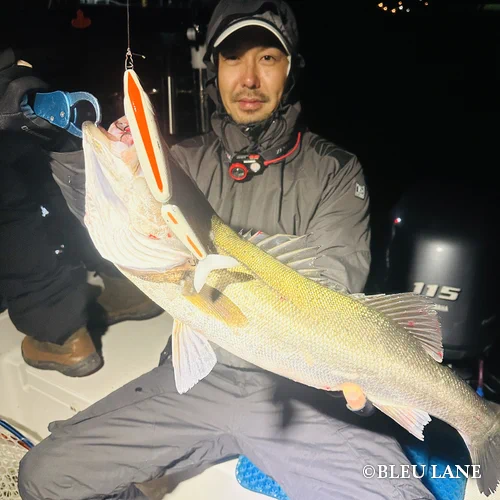 4:30～「シーバス便」2