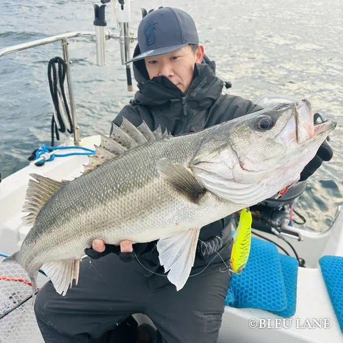 4:30～「シーバス便」15