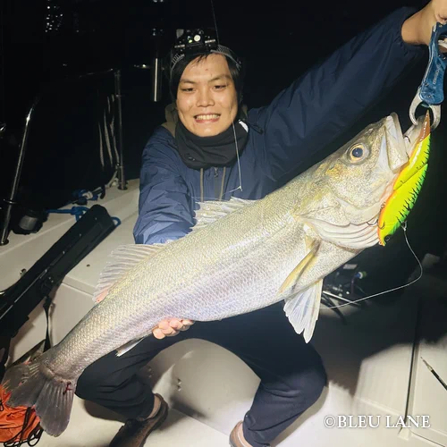 横浜　ボートシーバス15