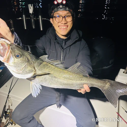 横浜　ボートシーバス1