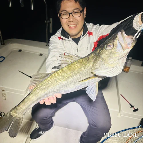 横浜　ボートシーバス3