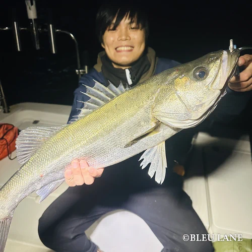 横浜　ボートシーバス4