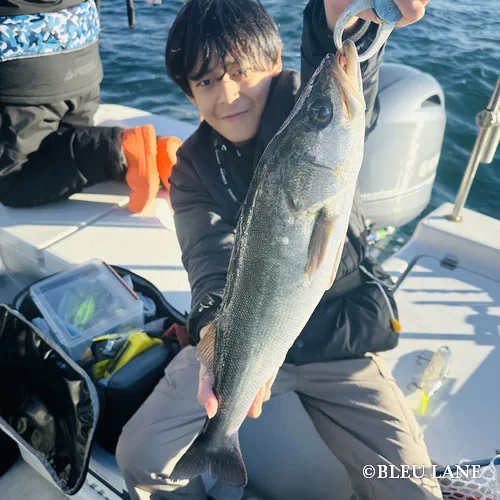 神奈川　ボートシーバス1