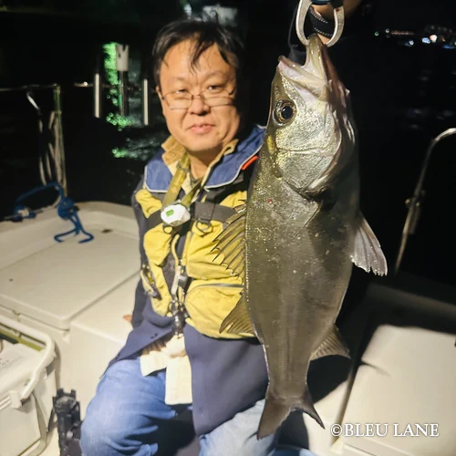 20:00～「メッキ便」12