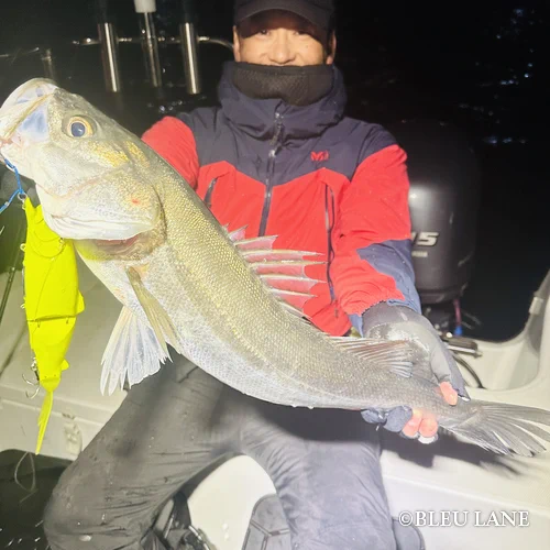 4:00～「ビッグベイトシーバス乗合便」1