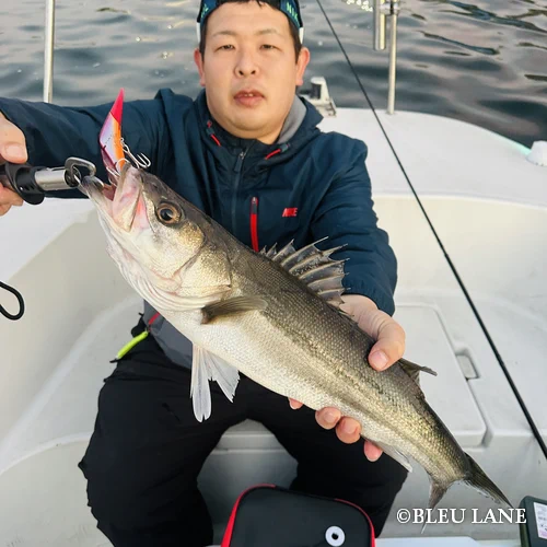 13:00~「シーバス便」2