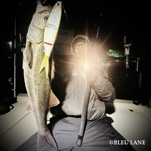 1:00～「シーバス便」12