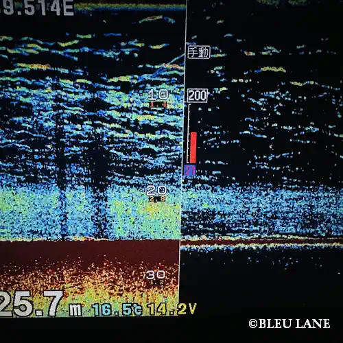 20:00~「シーバス便」1