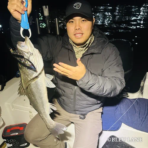 16:00～「シーバス便」2