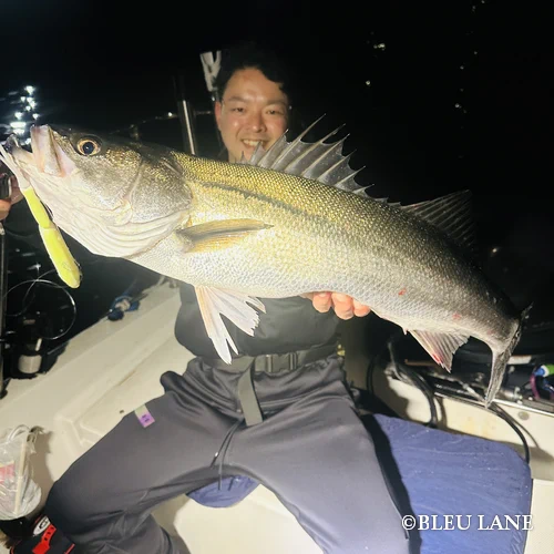 16:00～「シーバス便」4