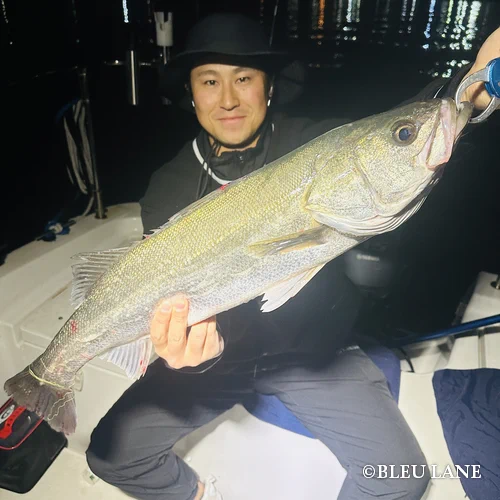 16:00～「シーバス便」10