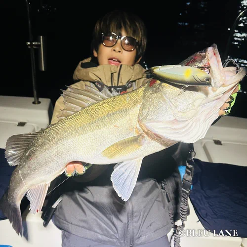 横浜　ボートシーバス10