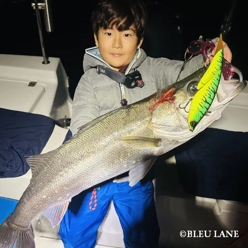 横浜　ボートシーバス1