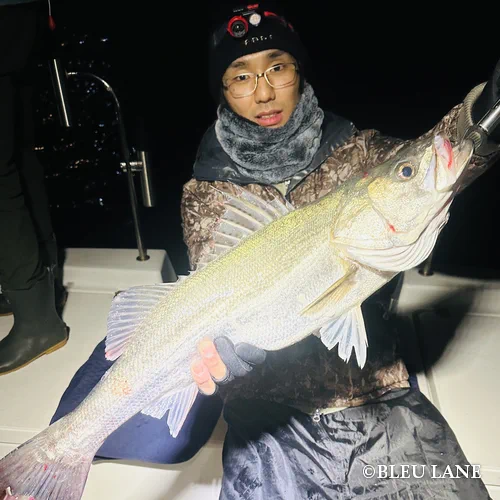 横浜　ボートシーバス