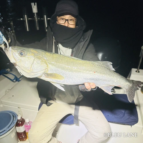 横浜　ボートシーバス3