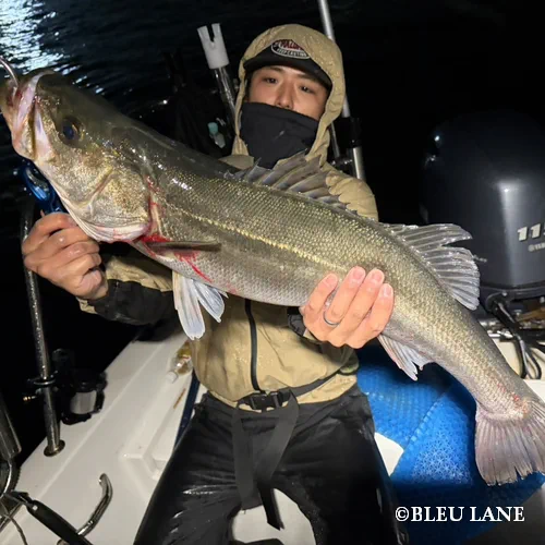 ビッグベイト　シーバス便4