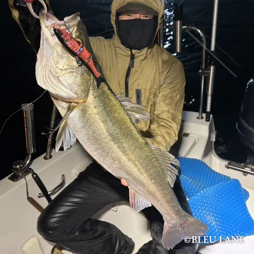 ビッグベイト　シーバス便20