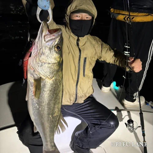 ビッグベイト　シーバス便