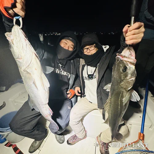 横浜　ボートシーバス4