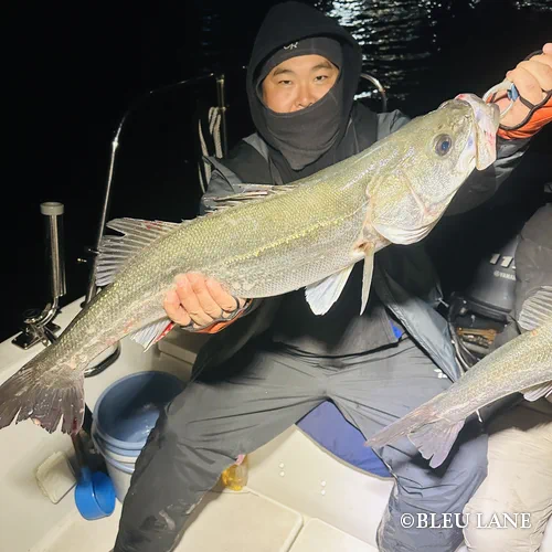 横浜　ボートシーバス5