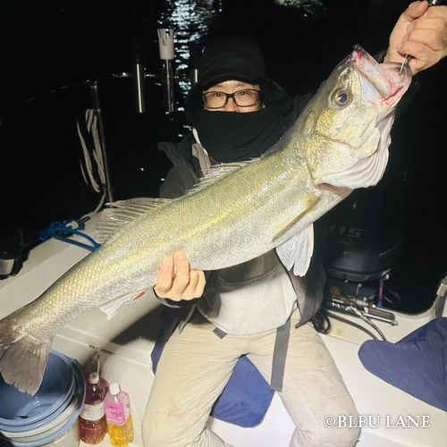 横浜　ボートシーバス11