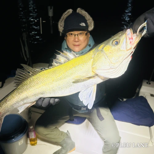 横浜　ボートシーバス7