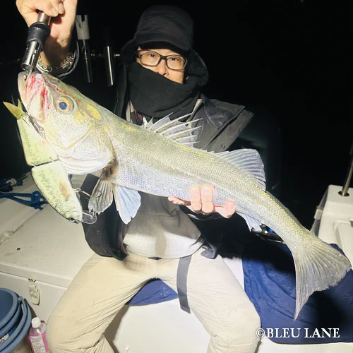 横浜　ボートシーバス8