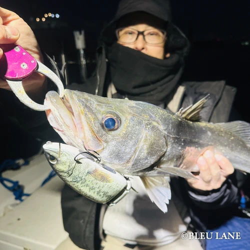 横浜　ボートシーバス9