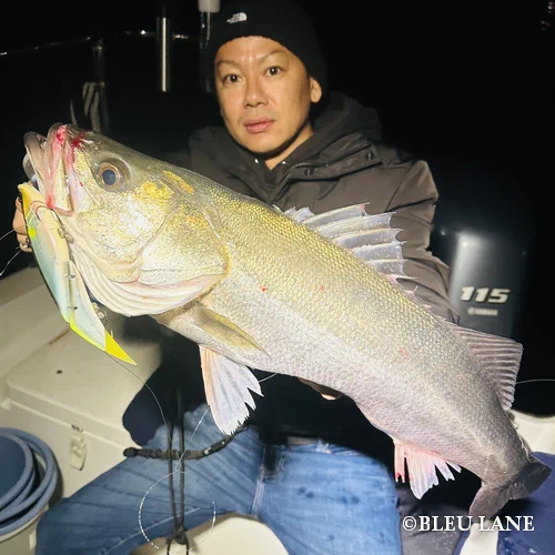 横浜　ボートシーバス1