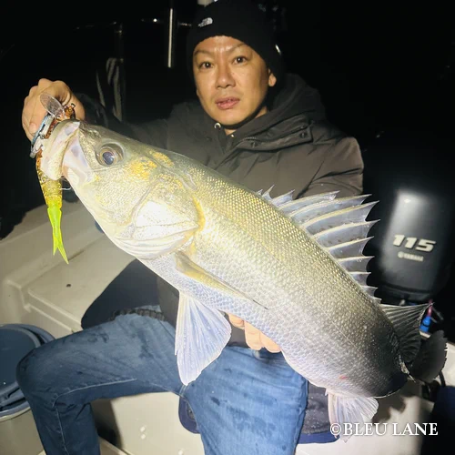 横浜　ボートシーバス12