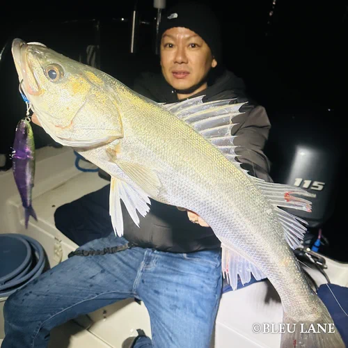 横浜　ボートシーバス13