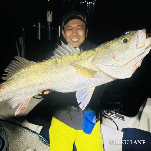 横浜　ボートシーバス14