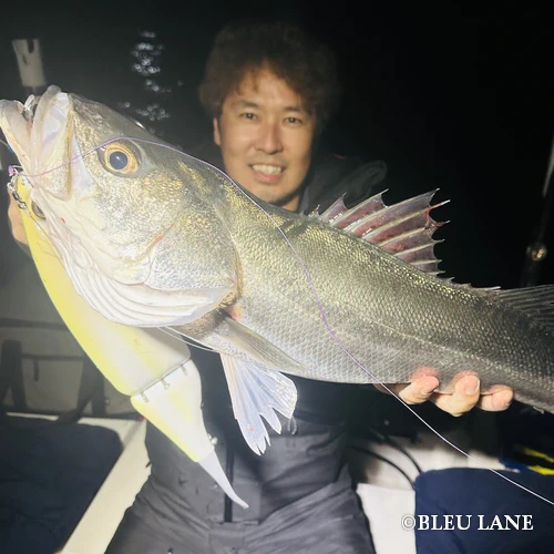 横浜　ボートシーバス18