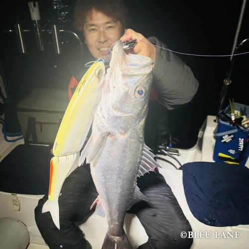 横浜　ボートシーバス17