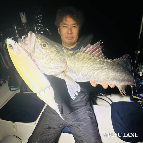 横浜　ボートシーバス123