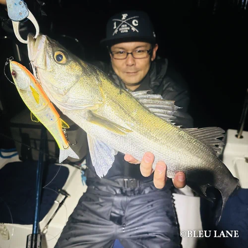 横浜　ボートシーバス15