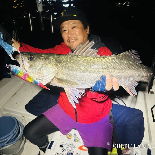 横浜　ボートシーバス2050