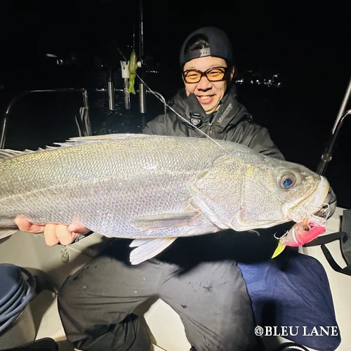 横浜　ボートシーバス204