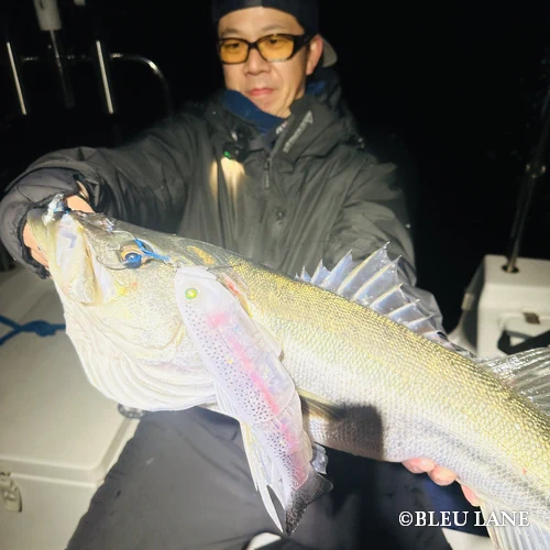 横浜　ボートシーバス205