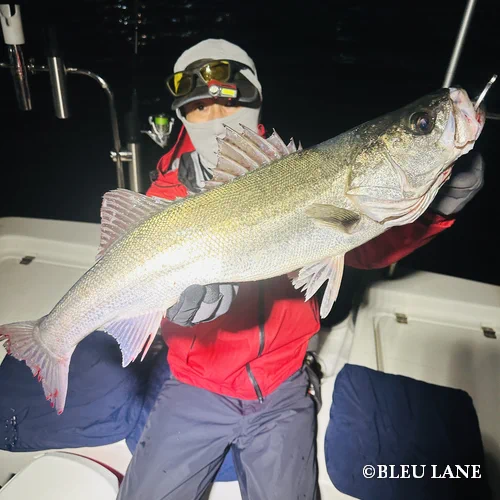 ボートシーバス　横浜2