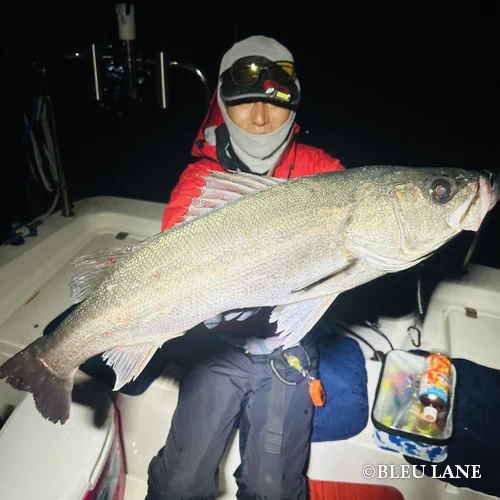 ボートシーバス　横浜20