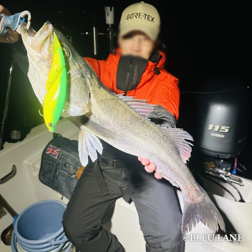 横浜　ボートシーバス2