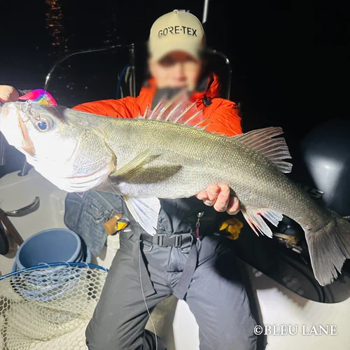 横浜　ボートシーバス3