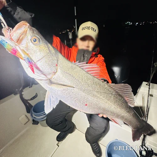 横浜　ボートシーバス15