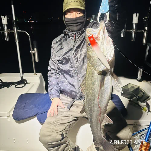 神奈川 ボートシーバス15