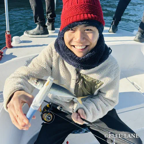 横浜 釣り船 アジ15